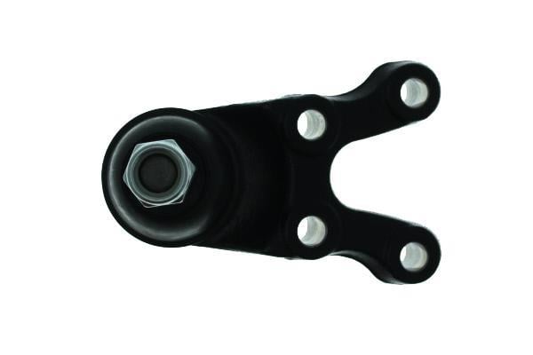Rotule de suspension (Rotule de pivot) AISIN JBJHY-016